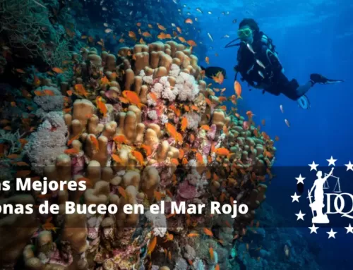 Las Mejores Zonas de Buceo en el Mar Rojo