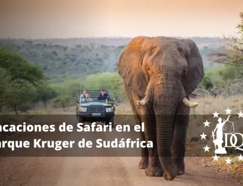 Vacaciones de Safari en el Parque Kruger de Sudáfrica. Los 5 Grandes