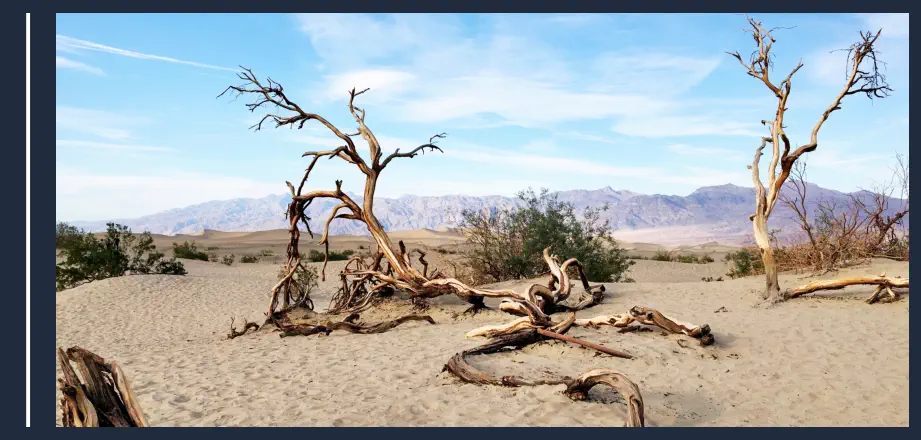 Datos Curiosos del Desierto