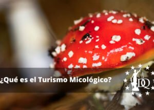 Qué es el Turismo Micológico