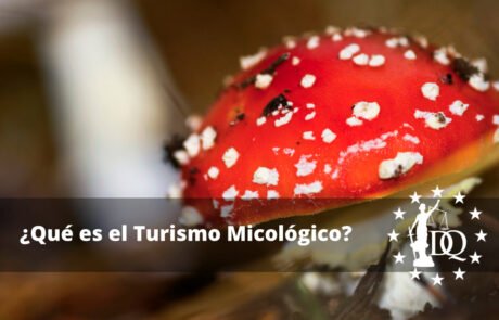 Qué es el Turismo Micológico