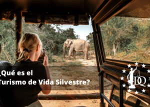 Qué es el Turismo de Vida Silvestre