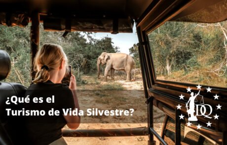 Qué es el Turismo de Vida Silvestre