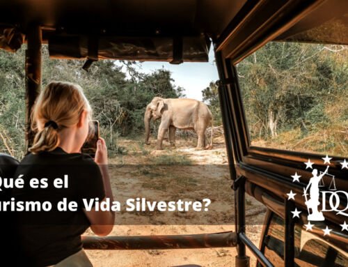 ¿Qué es el Turismo de Vida Silvestre? y Ejemplos