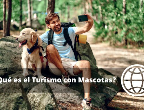 ¿Qué es el Turismo con Mascotas? y Ejemplos