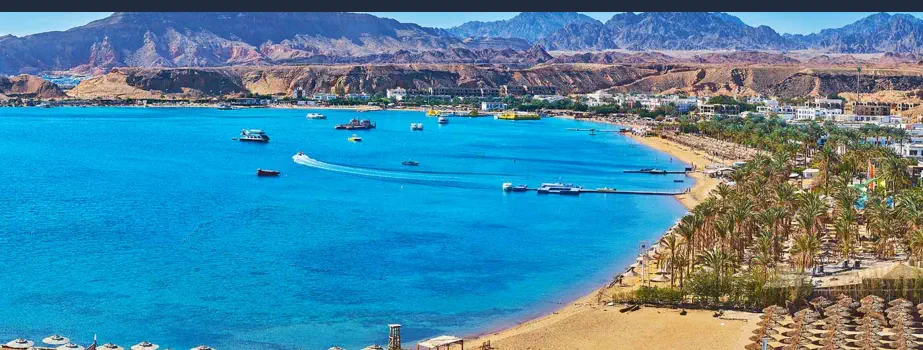 Las Mejores Zonas de Buceo en el Mar Rojo - Sharm el-Sheikh