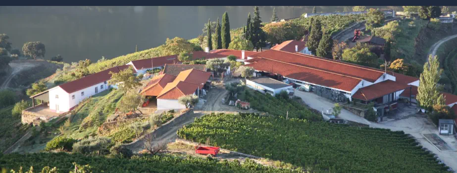 Los Mejores Alojamientos Rurales de Portugal - Quinta Nova Luxury Winery House