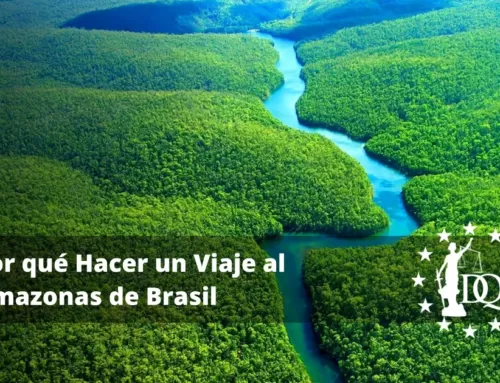 Por qué Hacer un Viaje al Amazonas de Brasil, Paisajes y Vida Salvaje
