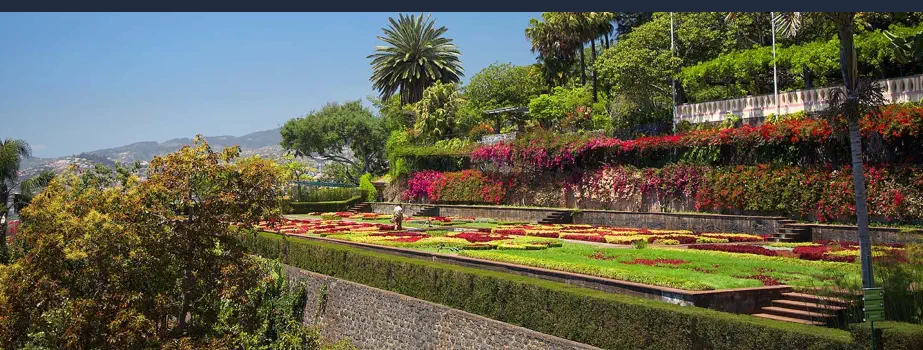 Por qué Viajar a Funchal, Madeira - Monte