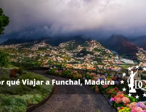 Por qué Viajar a Funchal, Madeira. Qué Ver y qué Hacer