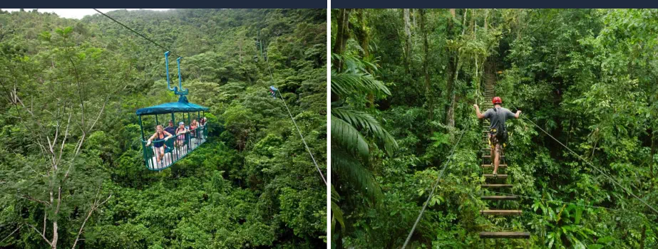 Qué Lugares Visitar en Latinoamérica - Bosques Tropicales en Costa Rica