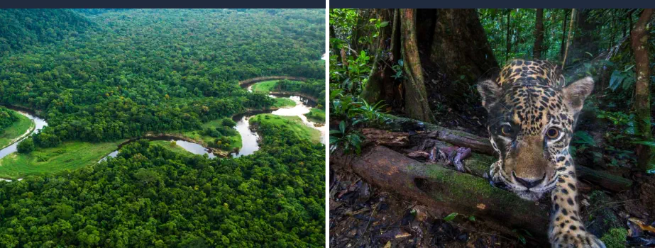 Qué Lugares Visitar en Latinoamérica - El Amazonas en Brasil