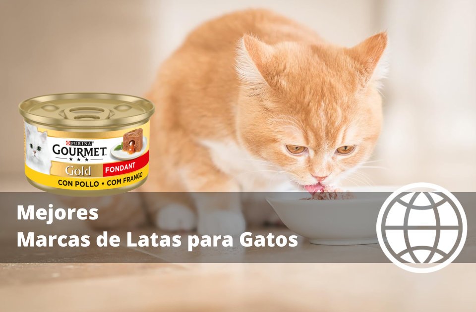 Mejores Marcas de Latas para Gatos