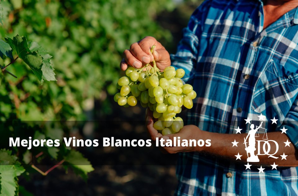 Mejores Vinos Blancos Italianos