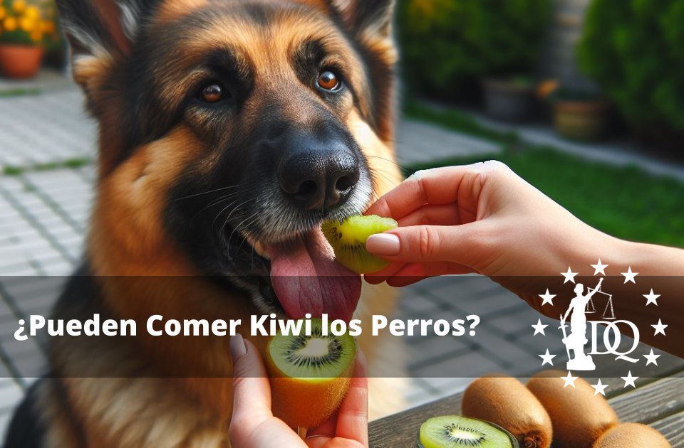 Pueden Comer Kiwi los Perros