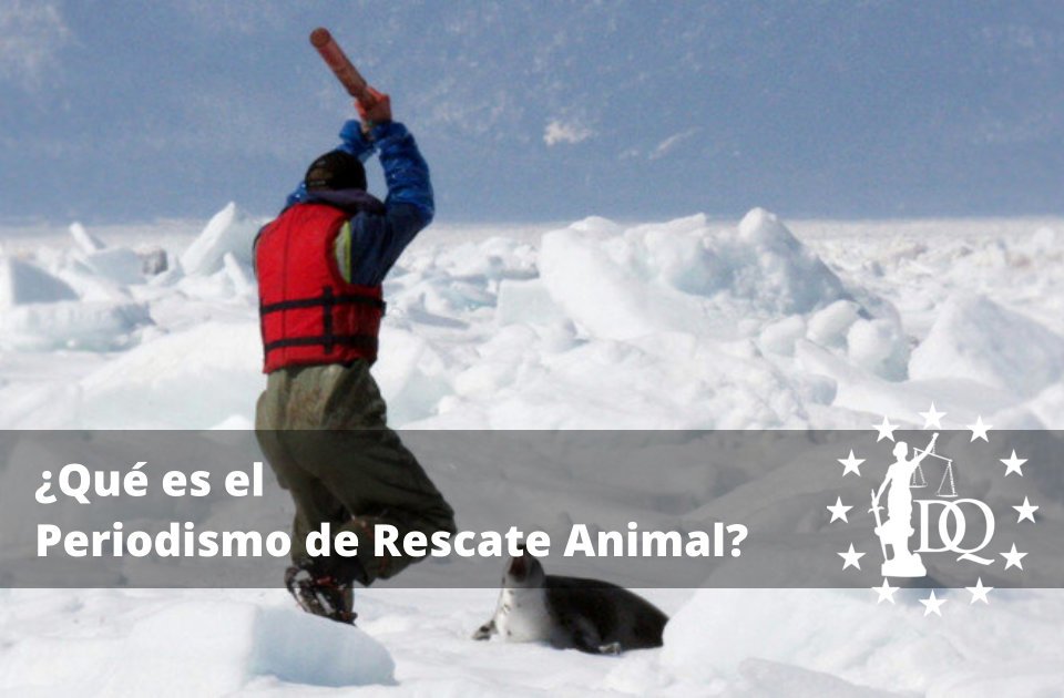 Qué es el Periodismo de Rescate Animal