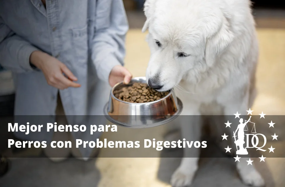 Mejor Pienso para Perros con Problemas Digestivos